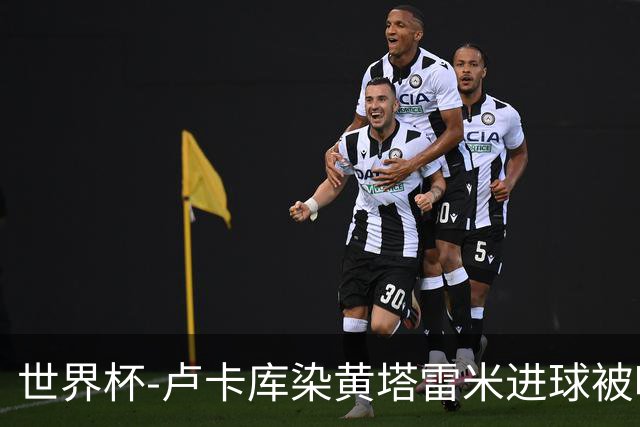 世界杯-卢卡库染黄塔雷米进球被吹 比利时半场0-0伊朗